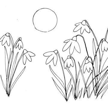 Moonlit Snowdrops Sketch