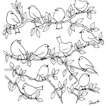 Twelve Easy Birds Sketch