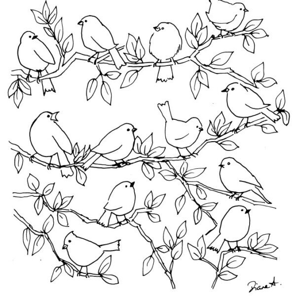 "Whimsical Birds Collection" Sketch Bundle