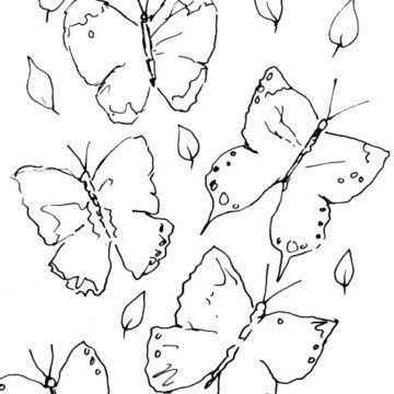 Butterfly Sketch III