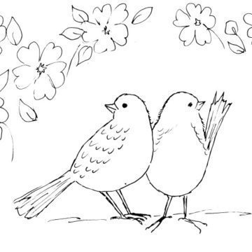 Pair of Cute Birds and Flowers Sketch
