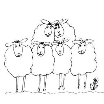 Six Sheep Sketch