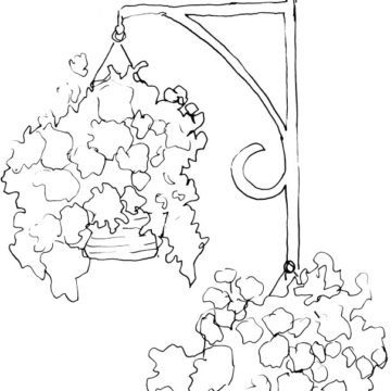 Hanging Flower Baskets Sketch