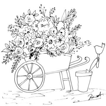 Wheelbarrow and Flowers Sketch