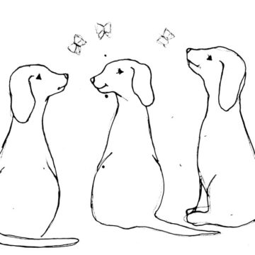 Three Cute Dogs Sketch