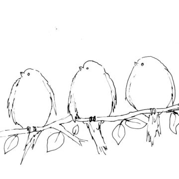 Three Yellow Birds Sketch