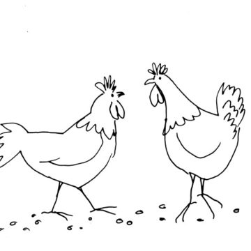 Whimsical Chickens Sketch