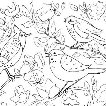 Four Birds and Flowers Sketch