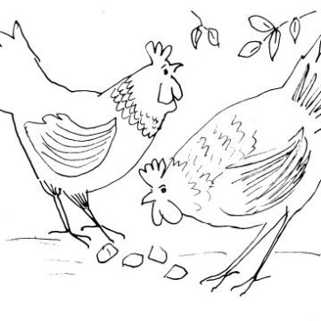 Whimsical Chickens Sketch II
