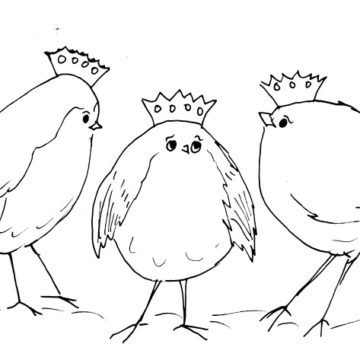 Three Wise Birds Sketch