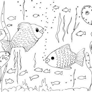 Fish Sketch II
