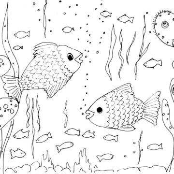 Fish Sketch II