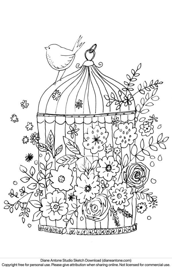 Birdcage with Flowers Sketch