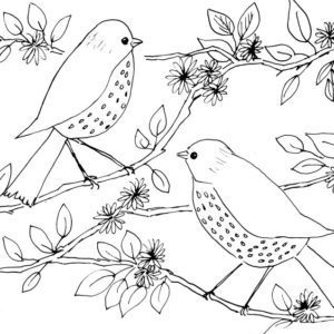 Two Whimsical Birds Sketch