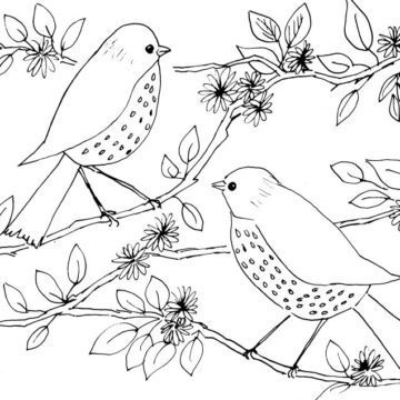 Two Whimsical Birds Sketch