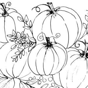 Pumpkins Sketch II