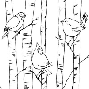 Birch Trees and Birds Sketch