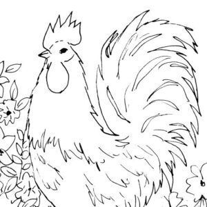 Rooster and Flowers Sketch