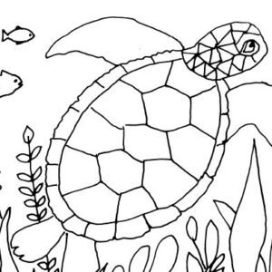 Sea Turtle Sketch II