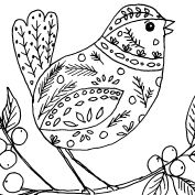 Christmas Critters Bird Sketch II