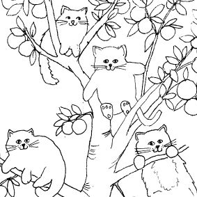 Cyprus Cats Sketch