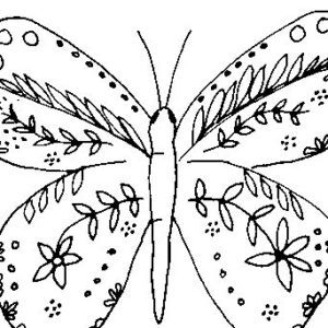 Doodle Butterfly Sketch