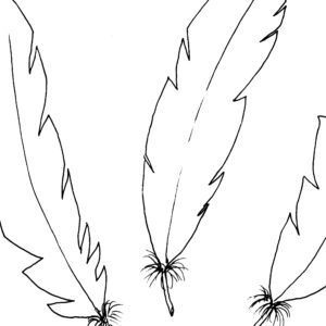 Three Feathers Sketch II