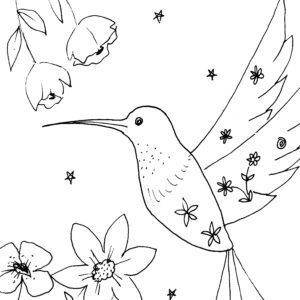Whimsical Hummingbird Sketch