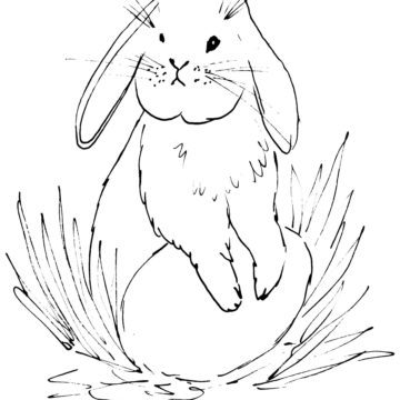 Easter Rabbit Drawing Egg Coloring Page - Free Printable Coloring Pages for  Kids
