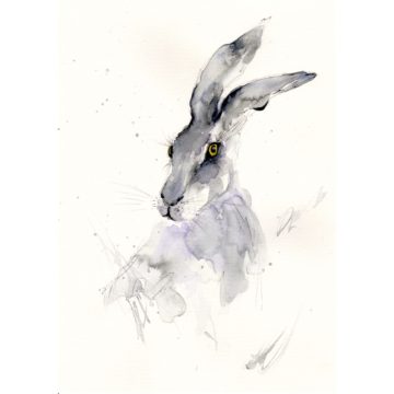 Hare I