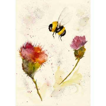 Bumblebee on Thistles