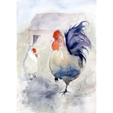 Rooster and White Hen II