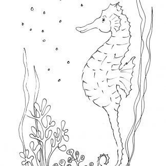 Blue Seahorse Sketch