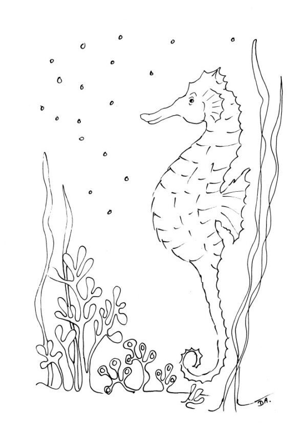 Blue Seahorse Sketch