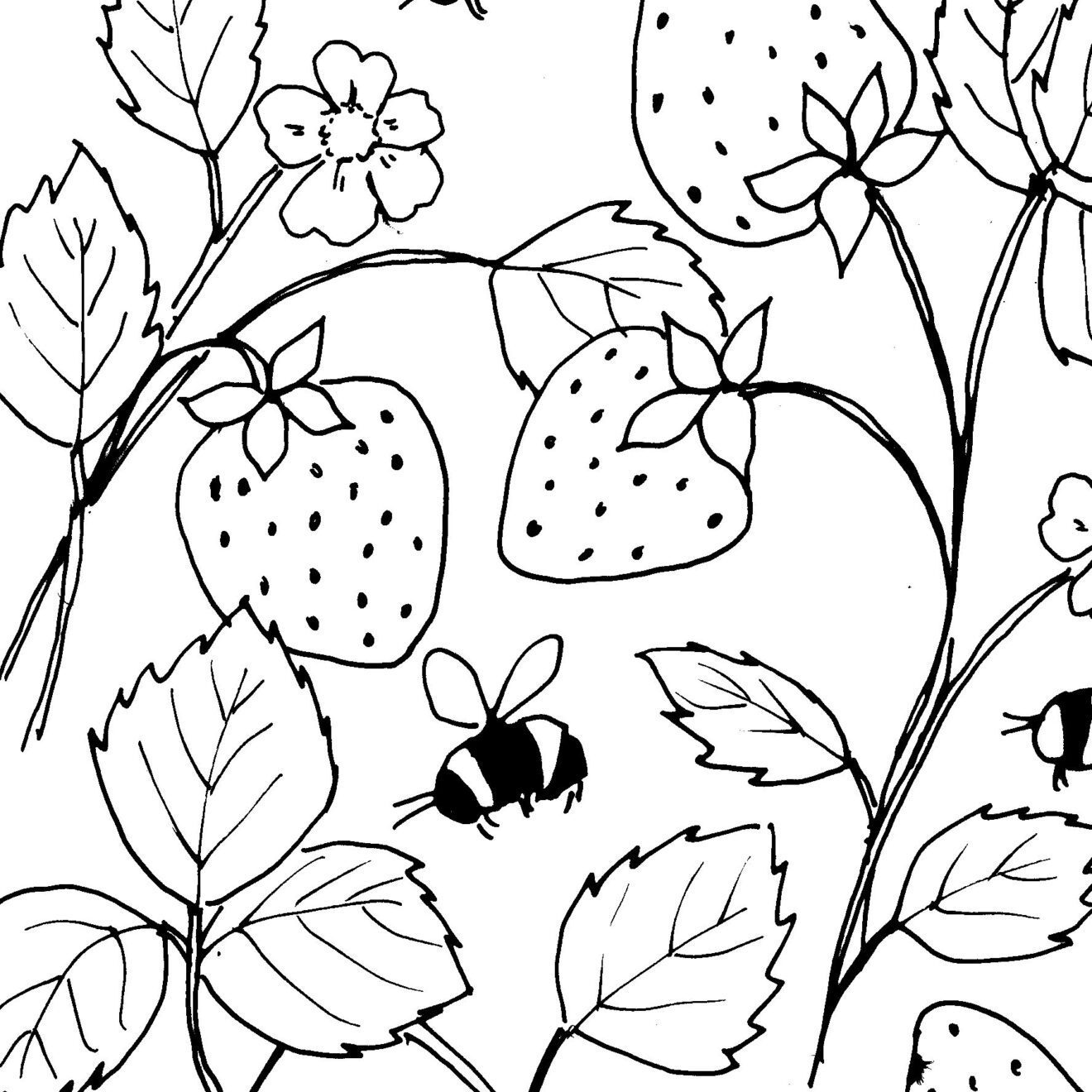 Strawberries and Bees Sketch